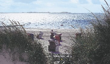 Strand_duene2